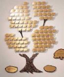 Tree of Life